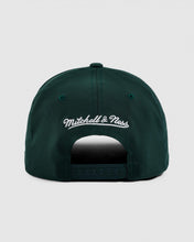 Load image into Gallery viewer, NBA Winter Colour 110 Snapback - Chicago Bulls Pine