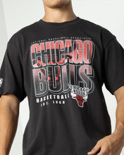 Load image into Gallery viewer, Hartford SS Vintage Tee - Bulls
