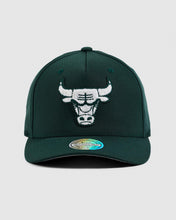 Load image into Gallery viewer, NBA Winter Colour 110 Snapback - Chicago Bulls  Pine
