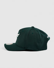 Load image into Gallery viewer, NBA Winter Colour 110 Snapback - Chicago Bulls  Pine
