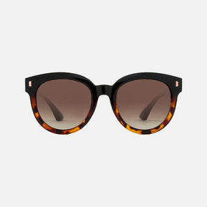 Harpo - Tort Polarized