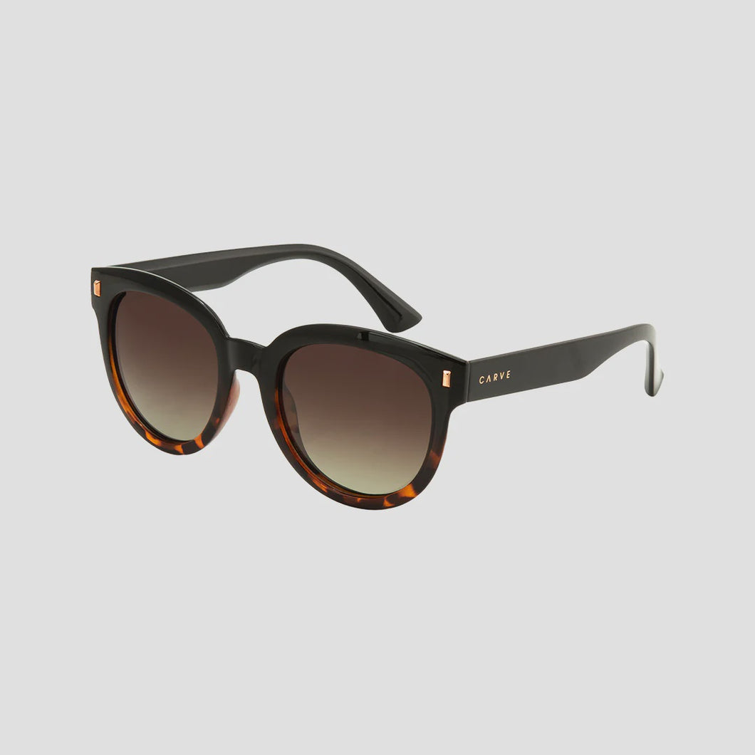 Harpo - Tort Polarized