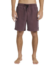 Load image into Gallery viewer, All Day Overdye Layback Short - Port
