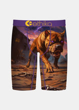 Load image into Gallery viewer, Boys Terror Terrier Staple
