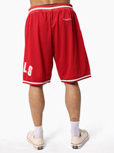 Load image into Gallery viewer, Team IP Mesh SHorts Chicago Bulls
