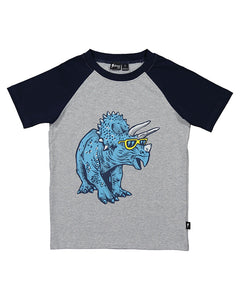 Rad Dino Raglan Tee