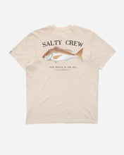 Load image into Gallery viewer, Snapper Classic SS Tee - Pigment Sand
