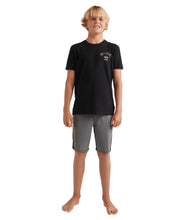 Load image into Gallery viewer, Boys Arch Fade SS Tee
